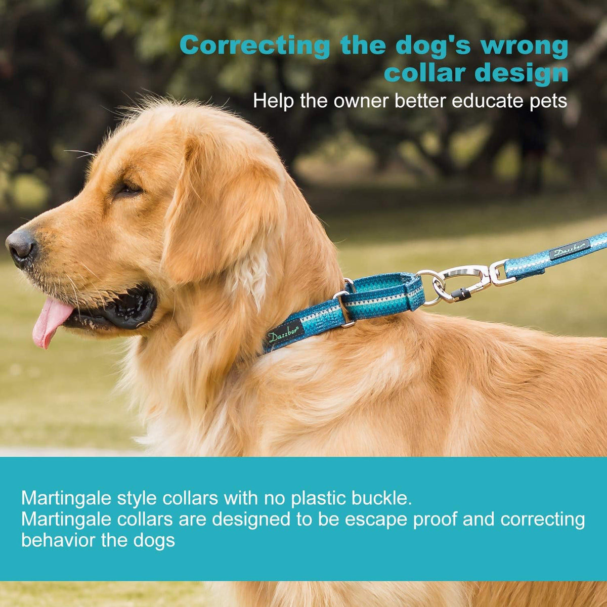 Martingale Dog Collar