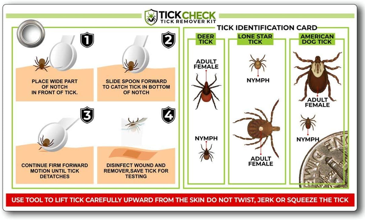 Tick Remover Spoon (1 Set, 3 Spoons)