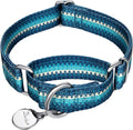 Martingale Dog Collar