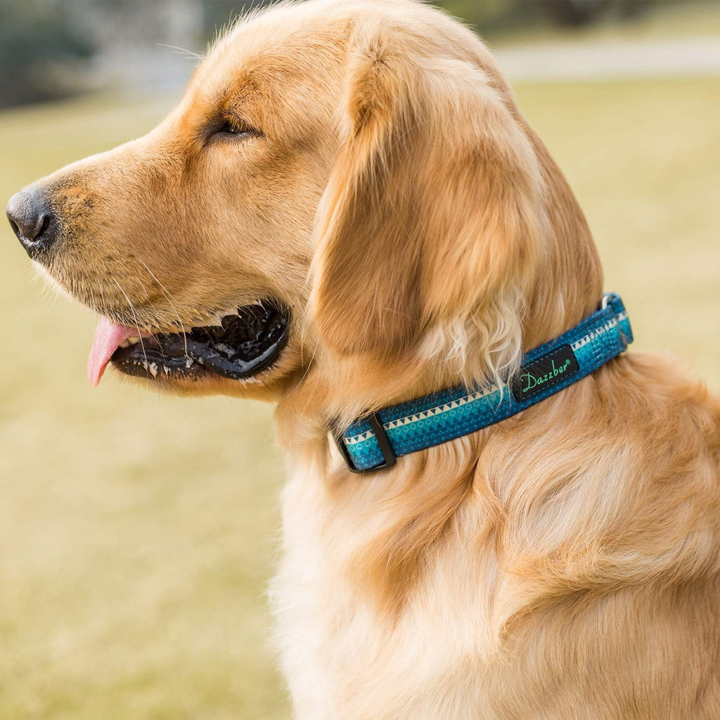 Martingale Dog Collar