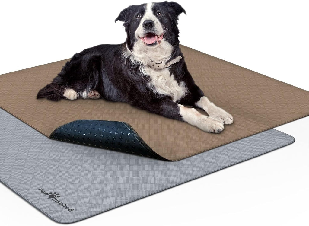 Washable Pee Pads for Dogs (41X41 Inch, Pack of 2)