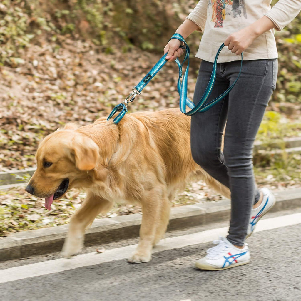 Martingale Dog Collar